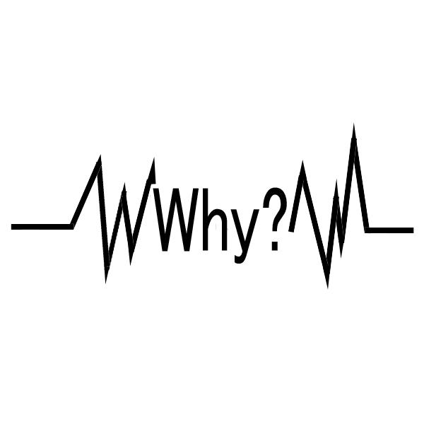 [[]GAuV@{fB[WG[@wi^gD[pXeV/Sd}@Why?iȂHj@W:13