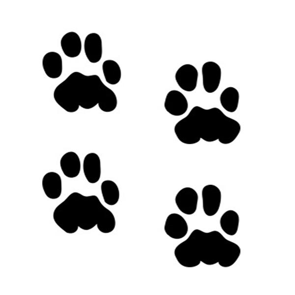 [[]GAuV@{fB[WG[@wi^gD[pXeV/@W:3cm×4Zbg