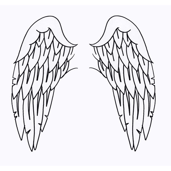 [[]GAuV@{fB[WG[@wi^gD[pXeV/ECOiEZbgj@H20×2