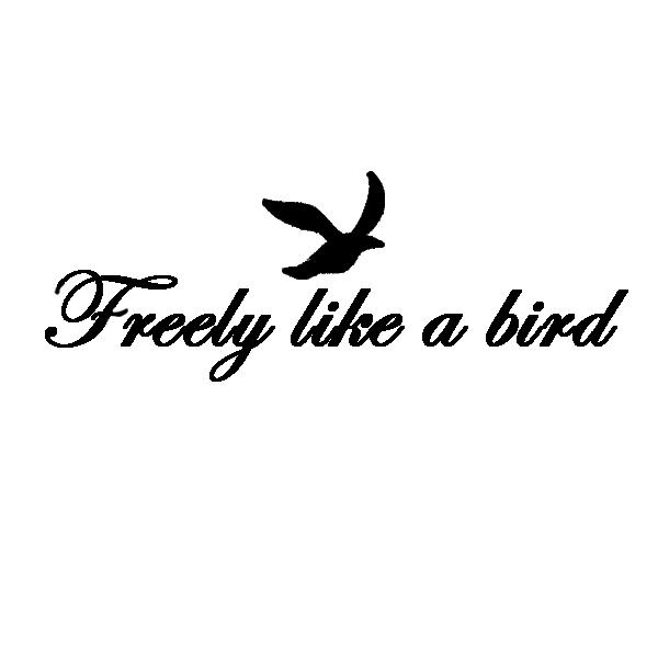 [[]GAuV@{fB[WG[@wi^gD[pXeV/Freely like a birdiRɒ̂悤Ɂj@W16