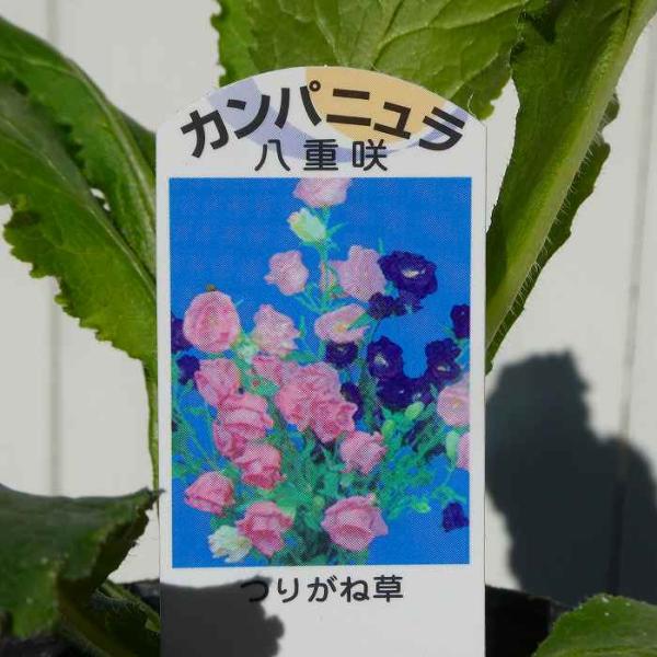 受注制作花かんむり265 花かんむりオーダー〟ページ（受注制作） | m@rihana