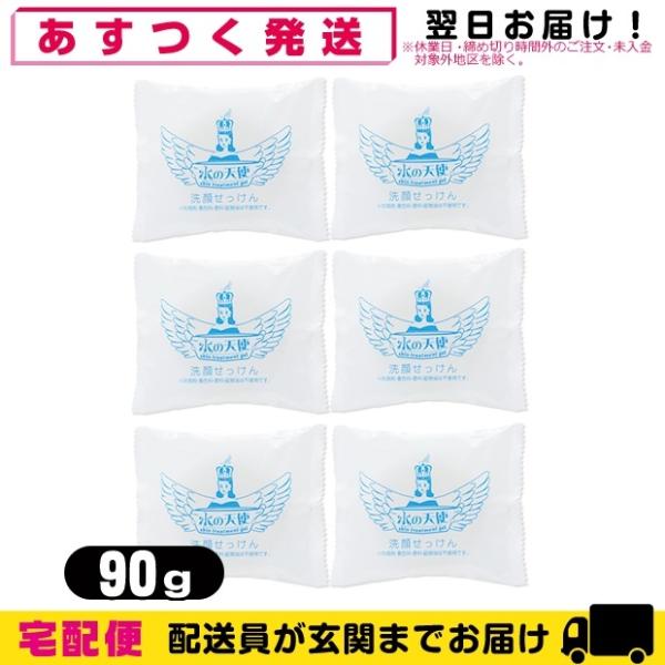 Ό X ̓Vg Y 90g x 6Zbg ulR|Xv