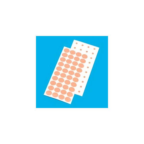 jRg[Co40(ʌ)ւJnp 1(40X25V[g)ucp20v