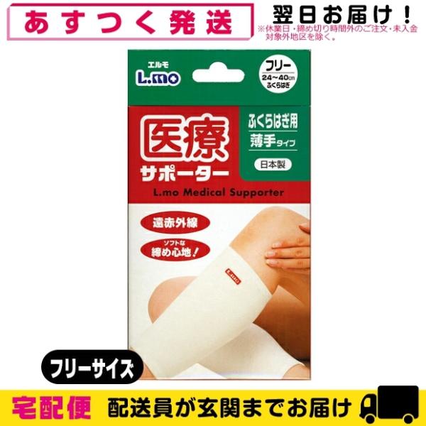 T|[^[ iÊ G ÃT|[^[  ӂ͂p t[TCY