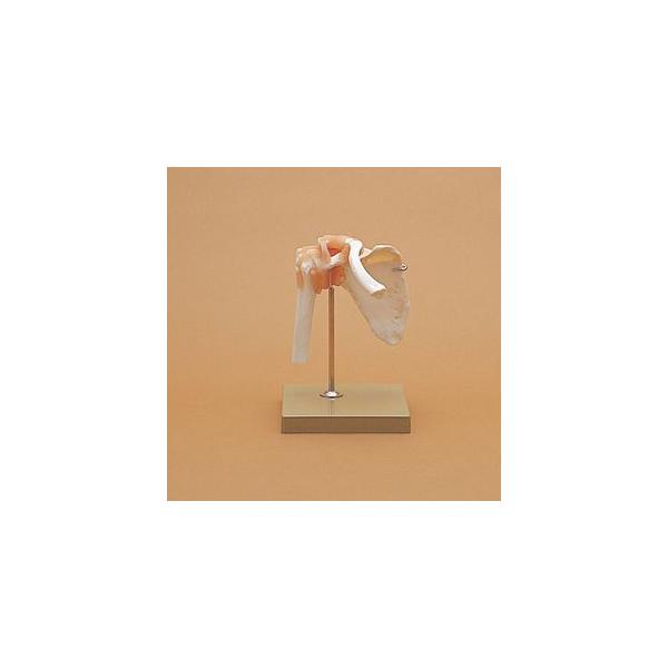 ֐ߋ@\͌^(SR-305) hCcE\\