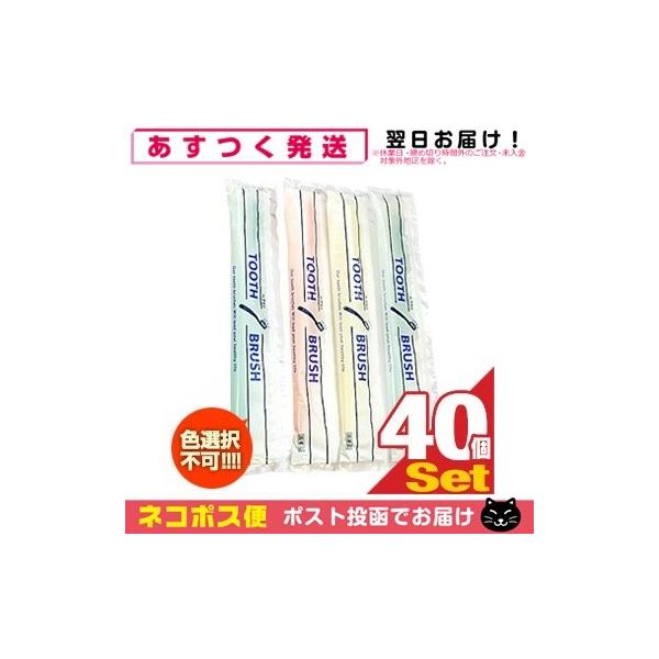 Ɩp t uV x40{ t CX^gnuV zeAjeB ĝĎuVulR|Xv