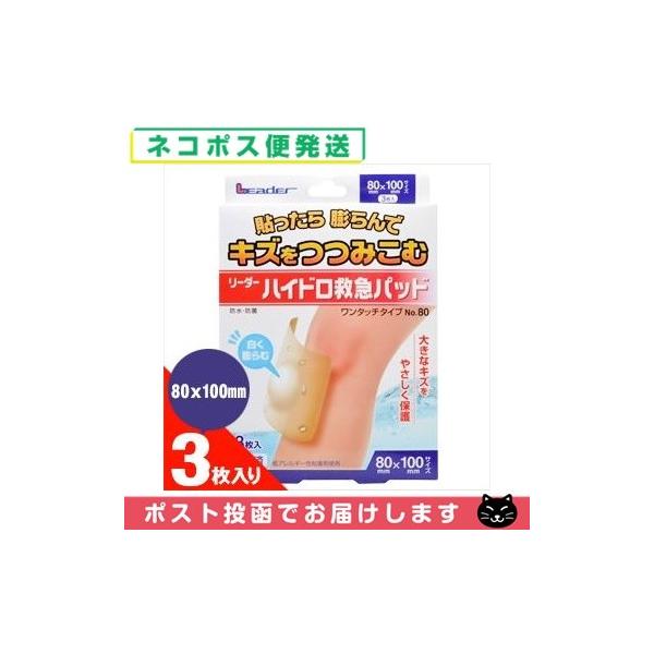 nChRChfJnp [_[nCh~}pbh(3) ^b`^Cv No.80(80x100mm) ulR|Xv