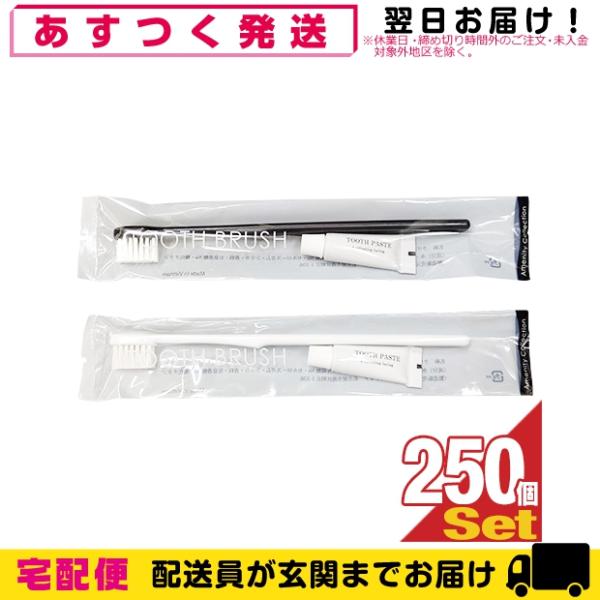ホテル用歯ブラシ 1000本 未使用 業務用まとめ売り ホテル用歯ブラシ 1000本 未使用 業務用まとめ売りの通販 by オノテラ