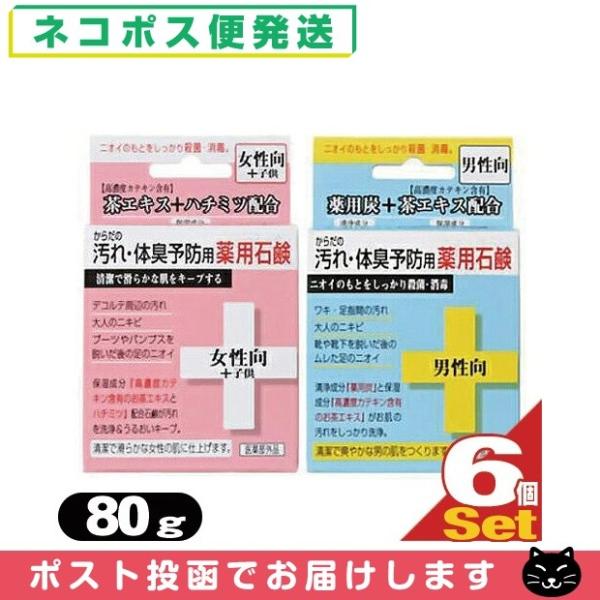 炾̉ ̏L\hp p Ό 80g(jE+q)6 ΂ ێz No[R[|[VulR|Xv