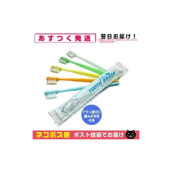 Ɩp ĝ uV t x1{ X܂  tuV ݂ CX^gnuV zeAjeB ulR|Xv