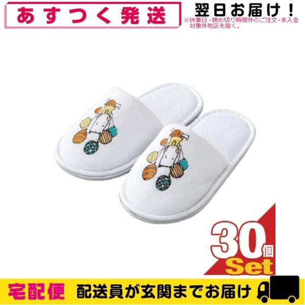 zeAjeB  Ɩp pp|[(PAL PALEPO) qppCnXbp x 30Zbg