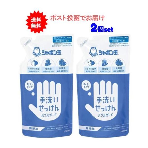 【送料無料】手洗いせっけん バブルガード あわタイプ つめかえ用 250ml【2個セット】