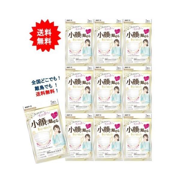 [白元アース] ビースタイル プリーツタイプ ふつうサイズ プレミアムホワイト (5枚入) × 10個セット 【送料無料】