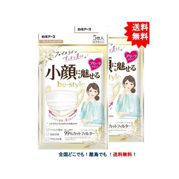 [白元アース] ビースタイル プリーツタイプ ふつうサイズ プレミアムホワイト (5枚入) × 2個セット 【送料無料】
