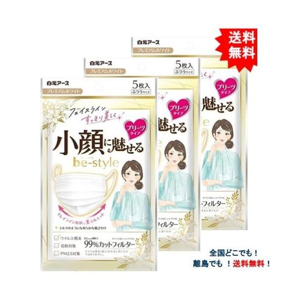 [白元アース] ビースタイル プリーツタイプ ふつうサイズ プレミアムホワイト (5枚入) × 3個セット 【送料無料】
