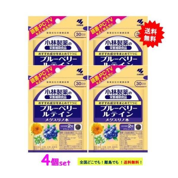 ブルーベリー ルテイン メグスリノ木 60粒 (30日分) × 4個セット 【送料無料】