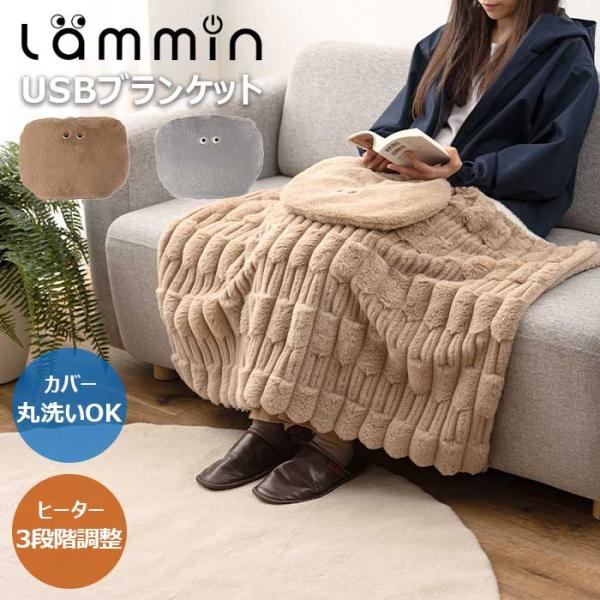 Lammin USBブランケット ヒ電気毛布 洗える あったか ひざ掛け クッション型 電気ブランケット おしゃれ あったかグッズ 冷え性対策 GLK-220