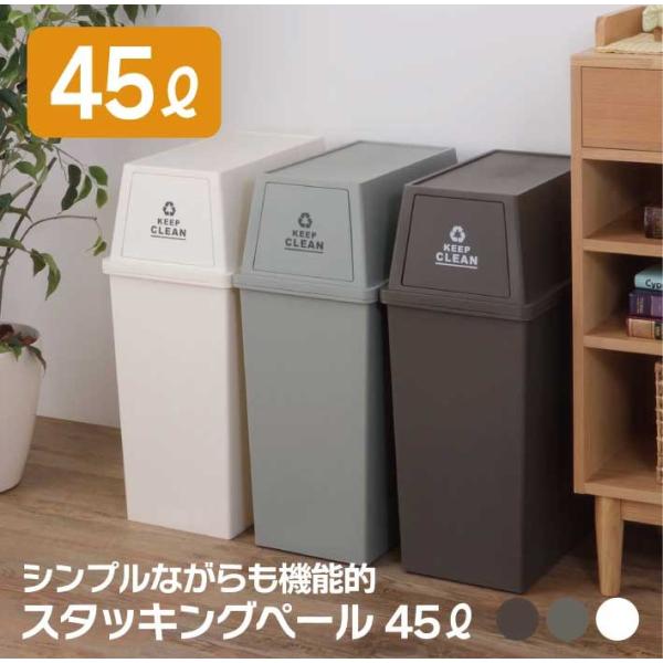 ゴミ箱 45リットル おしゃれ ごみ箱 ダストボックス スタッキングペール 屋外 分別 キッチン スリム LFS-761 日本製