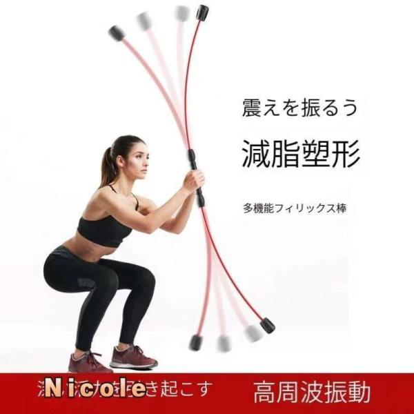 エアロバー エクササイズ フィットネス トレーニング 筋トレ 筋力トレーニング フィットネスバー トレーニングバー シェイプアップ 棒 振る 揺らす