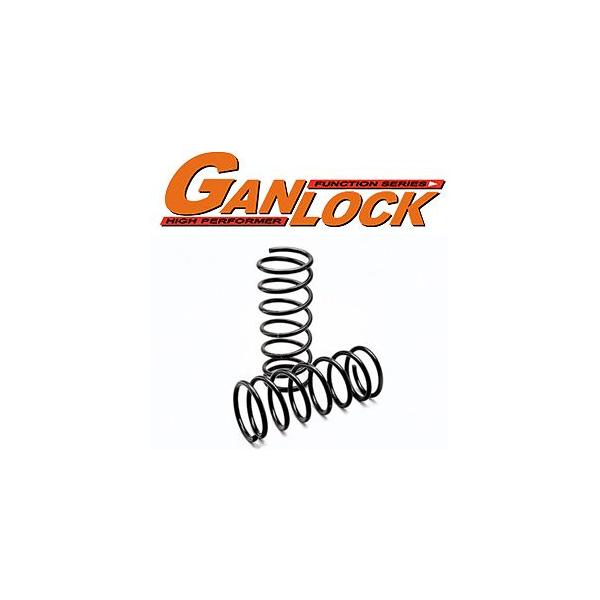 GANLOCK コイルスプリング・ランドクルーザー100 2インチアップ(リア