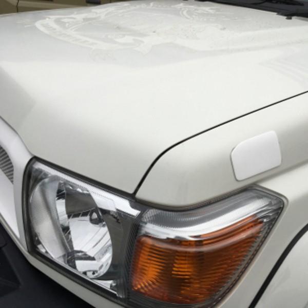 RICK'Sミラーホールカバー・ランドクルーザー76,79 [純正色仕上