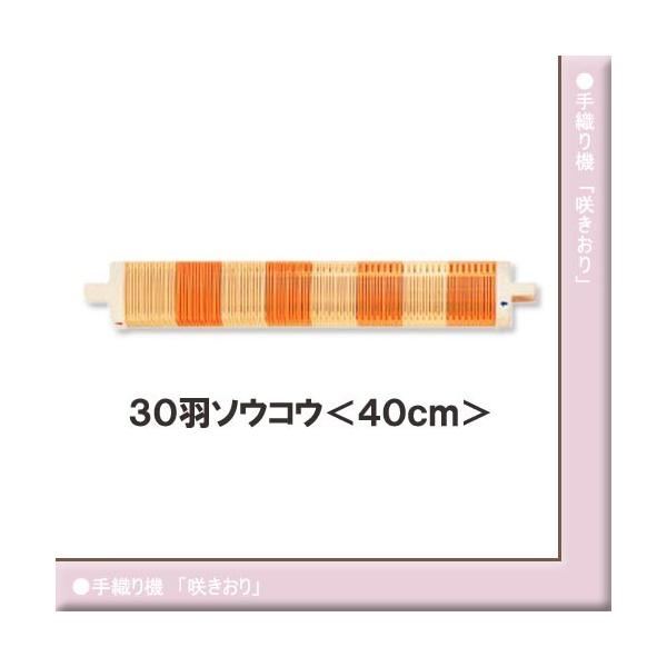 ҂ݕ D@ No[u炫v 30H\ERE 40cm