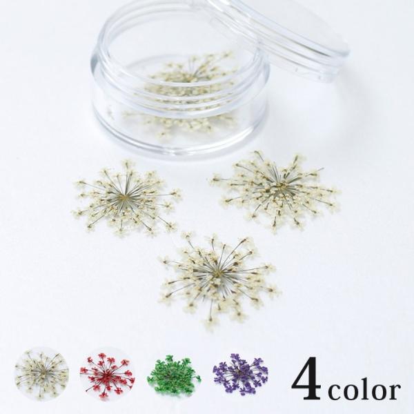 押し花に加工したレースフラワーです。細かい花が散らばって花火のような可愛い形状です。レジン封入やネイル、キャンドルクラフト、デコパージュなどにも。【 サイズ（約） 】 10×8×厚さ2cm（タグ部含む／パッケージサイズ）、直径3.7×高さ2...