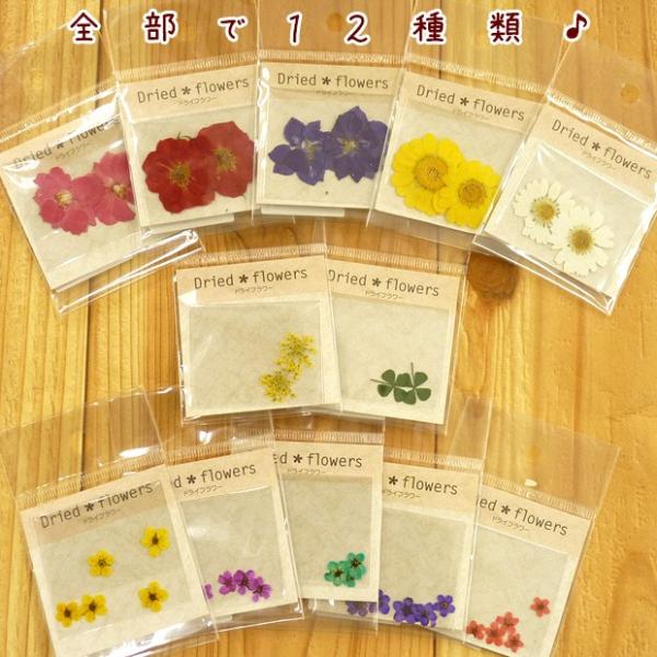 フラワー 押し花 こでまり パープル 押し花パーツ フラワーパーツ 花パーツ 小花パーツ レジンパーツ パーツ トーカイ Buyee Buyee Japanischer Proxy Service Kaufen Sie Aus Japan