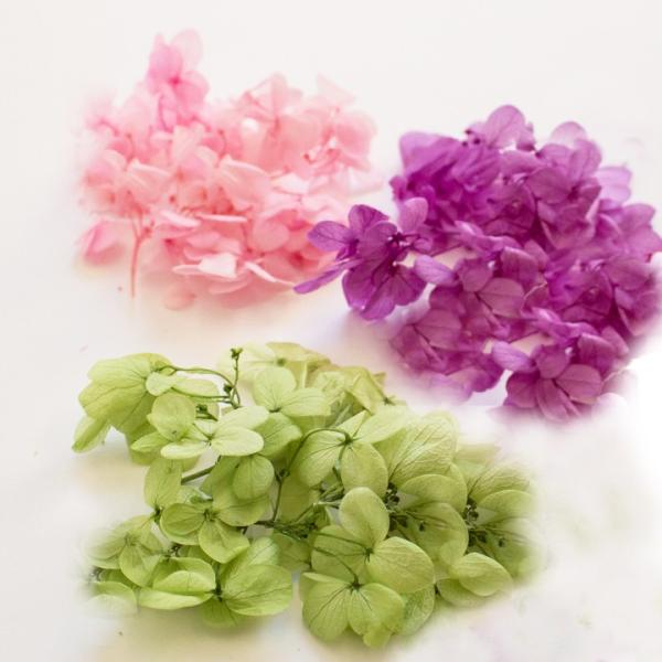 ブリザーブドフラワー アジサイ 約1 5g プリザーブド フラワー あじさい 花 ハーバリウム アジサイ 母の日 ハンドメイド 手芸材料の通販シュゲールyahoo 店 通販 Yahoo ショッピング