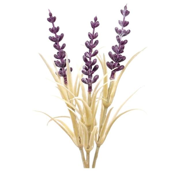 �t�F�C�N�h���C�t�����[ ���[�W�[ �f�B�[�v�p�[�v�� PFD-15-43 | �n�[�o���E�� �J���C�h�t�����[ �A�[�g�t�����[ �{�^�j�J�� ��| �f�B�X�v���C