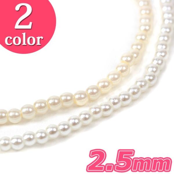 r[Y p[ 2.5mm  195 |  p[ o[r[Y  p[c ANZT[ ޗ lbNX sAX CO  w  g[JC