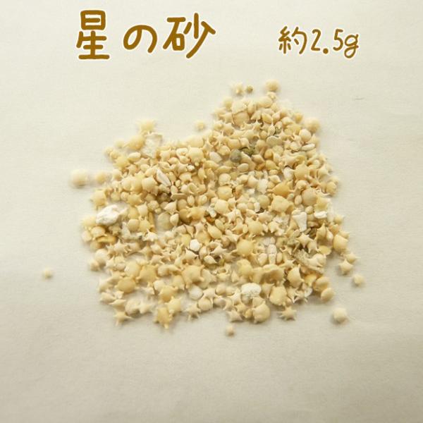 ̍ 2.5g | W p[c WNtg   Ί_ TS nhCh ANZT[ ޗ g[JC