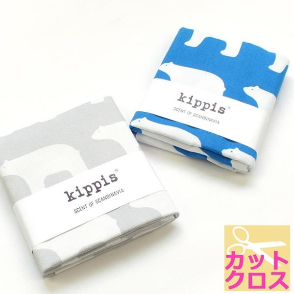 kippis VN} 50cm IbNX (JbgNX)bn z zn  100 Rbg k N}  fUCi[n LbsX