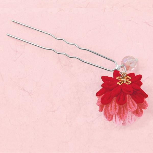 Ntg \[COz| ߂ ܂ݍ׍H ʂ̂񂴂 ԁb^JM@ہbpi~b