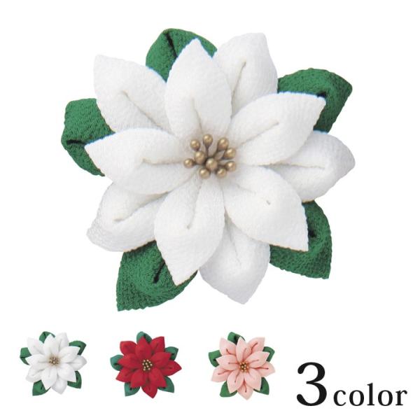 IpX ͂߂Ă̂܂ݍ׍H |CZ`Ãu[` TZ-6 | |Lbg Lbg ANZT[Lbg S rMi[ u[` RT[W