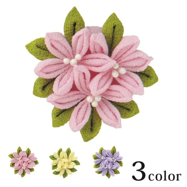 IpX ͂߂Ă̂܂ݍ׍H WX~̃u[` TZ-12 | Lbg ANZT[Lbg S u[` RT[W