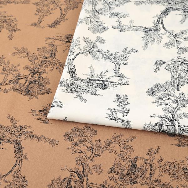 i 30Xp [ 50cmPʁbؔ ؂蔄 n z zn {^jJ A  lۂ GKg