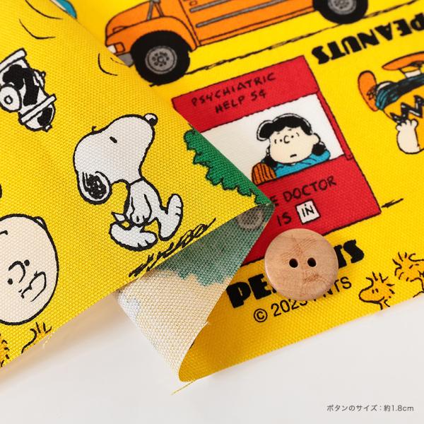 shugale1_0657432_3_d_20260209143400