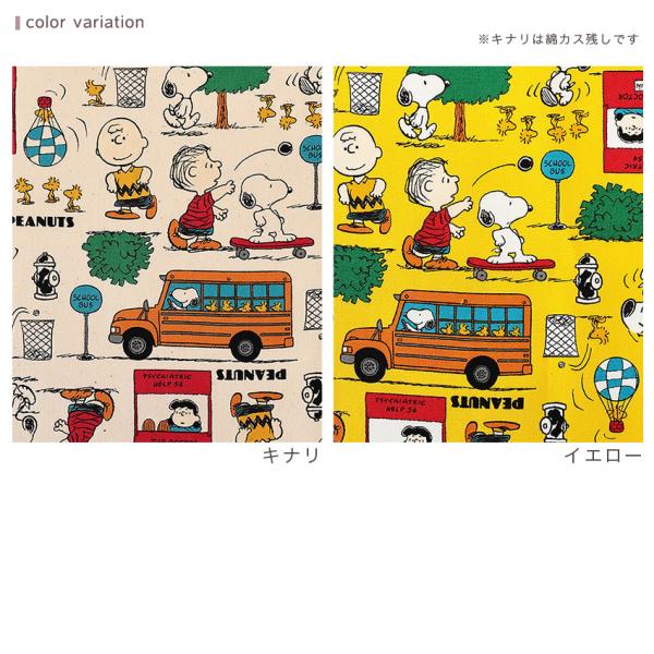 shugale1_0657432_5_d_20260209143401