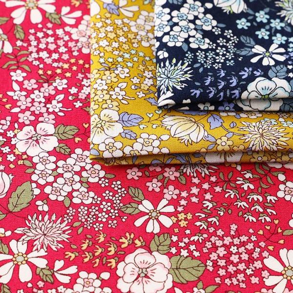 Rbg΂₵ GKgt[ u[h KTS6097b50cmPʂ̐ؔ n z zn n  100 Rbg  ԕ Rbg100 Rbgu[h