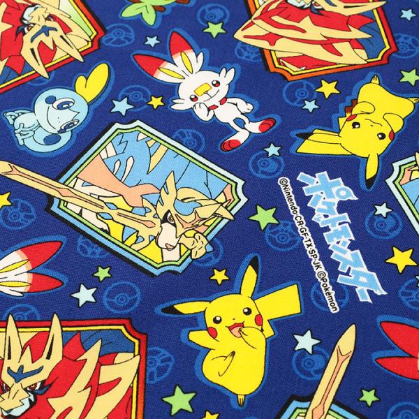 人気ダウンロード ポケモン カットイン 素材 ポケモンの壁紙