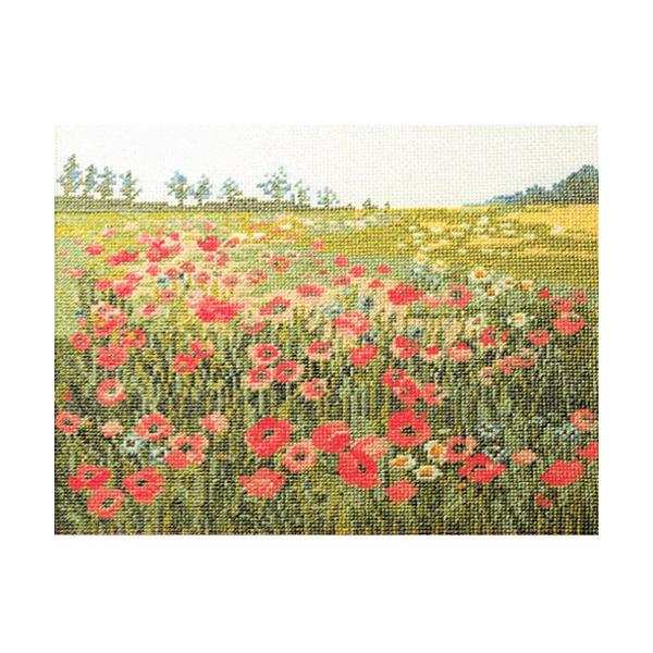 hJ Lbg IpX  t[i |s[̍炭