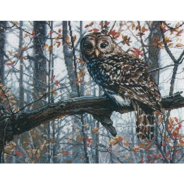 �h�J �A���L�b�g Dimensions Wise Owl ��PUSH �A���h�J��