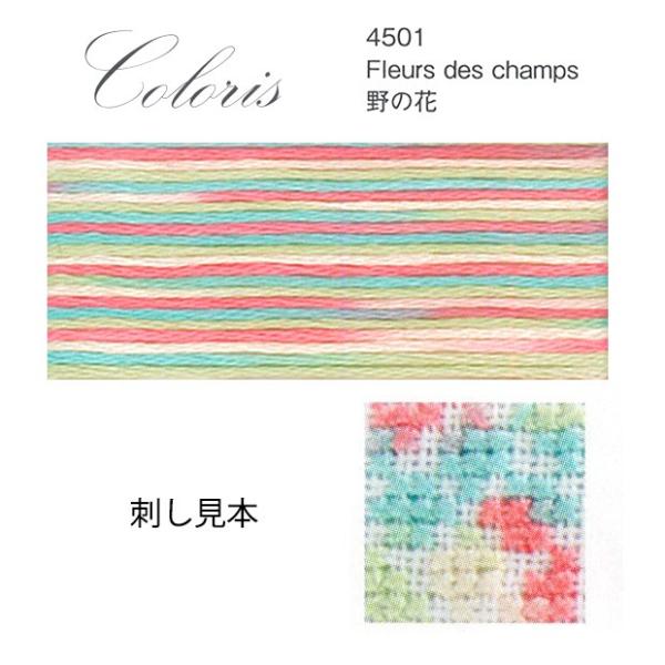 hイ DMC 25 ColorisiRj Flower 4501 ̉ | fB[GV[ hJ