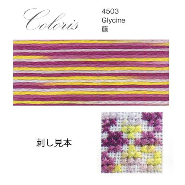 hイ DMC 25 ColorisiRj Flower 4503  | fB[GV[ hJ
