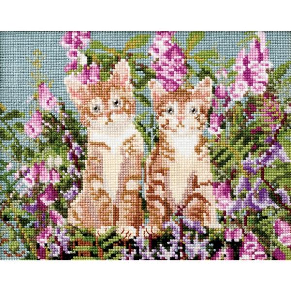 hJ Lbg COSMOiVAj Cat &amp; Flower cCY