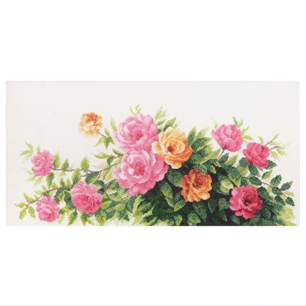 hJ ALbg Charivna Fragrance of summer roses iẴo̍j ~hJ