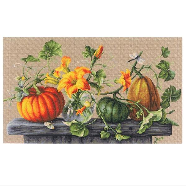 hJ ALbg Luca-Si[JXj t[ Pumpkins ipvLj ~hJ