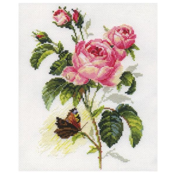 hJ ALbg ALISAiATj Flowers and birds Rose and Butterfly ~hJ