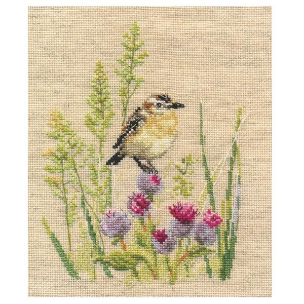 hJ ALbg ALISAiATj Flowers and birds Whinchat ~hJ